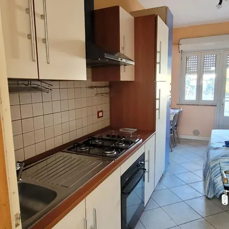Platani Lignano Sabbiadoro