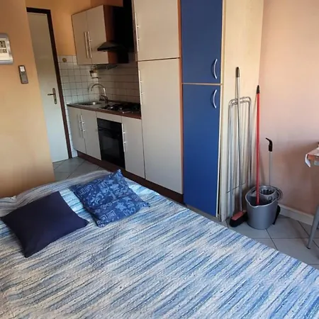 Platani Lignano Sabbiadoro